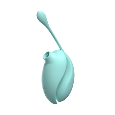 Vibromasseur clitoridien avec son œuf vibrant à distance