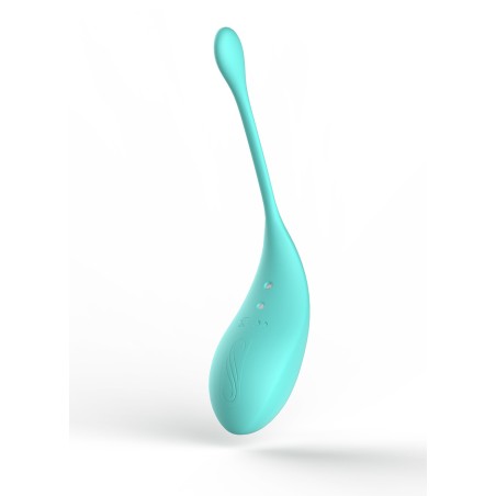 Vibromasseur clitoridien avec son œuf vibrant à distance