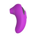 Vibromasseur clitoridienne violet USB