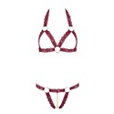 Soutien-gorge ouvert et string rouge à larges bandes sexy