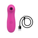 Stimulateur de clitoris par vibrations sur membrane rechargeable USB rose 10 Vitesses De Voyage - ZK003CPNK