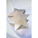 Caches-tétons étoile Métal blanc