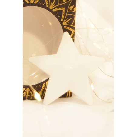 Caches-tétons étoile Métal blanc