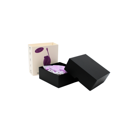 Vibromasseur clitoridien violet avec son œuf vibrant à distance
