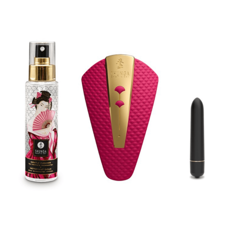 Calendrier de l'Avent SHUNGA 25ᵉ Anniversaire – 25 Surprises